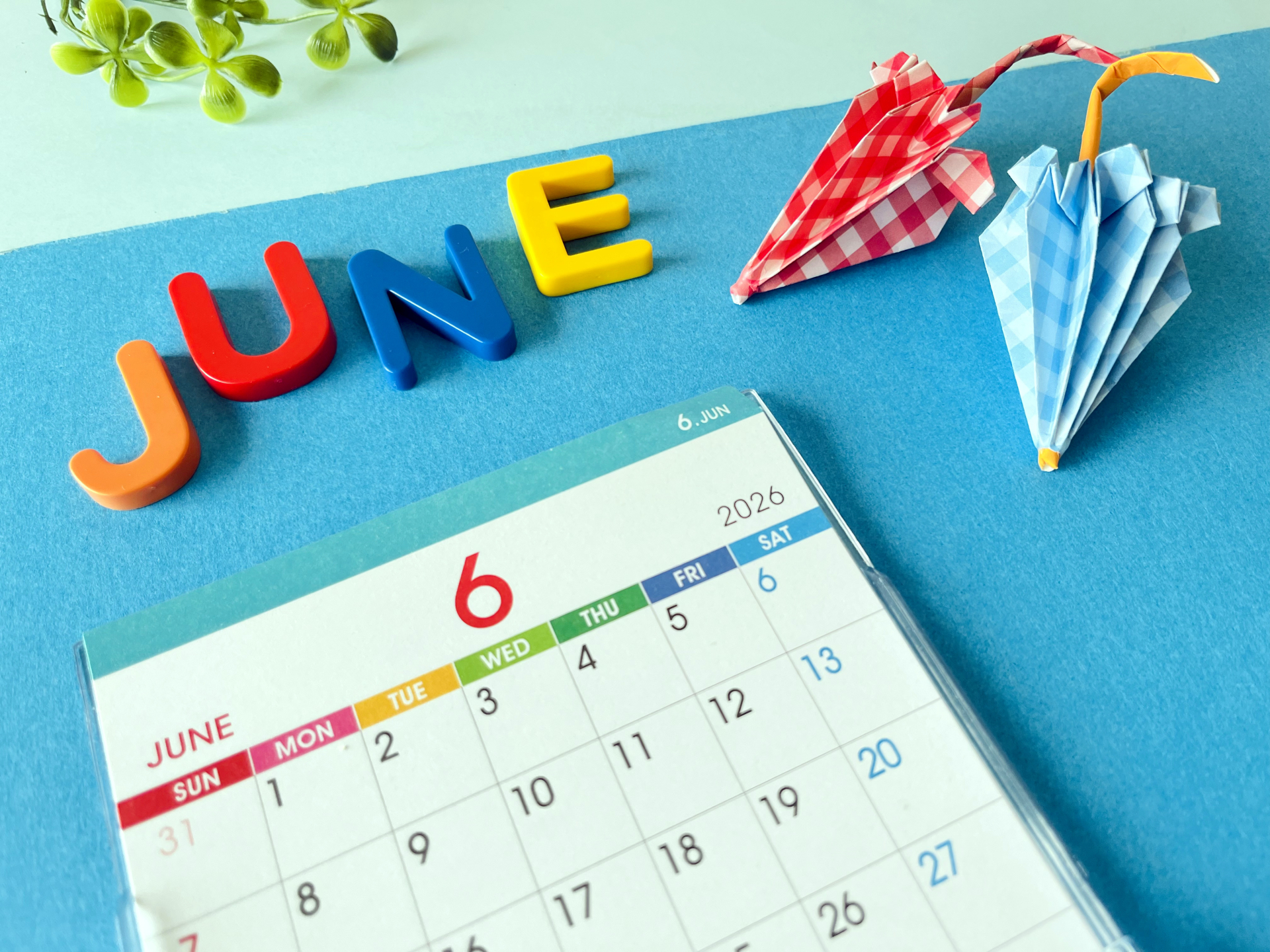 6月スケジュール