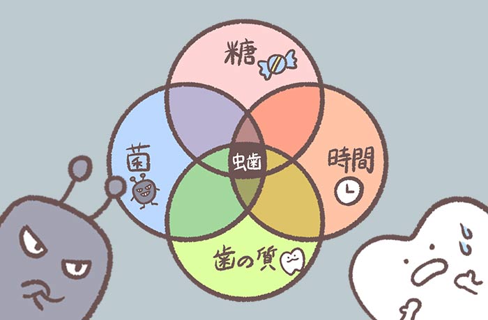 糖 時間 菌 歯の質 という文字とバイキンと歯のイラスト